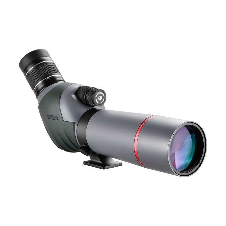 product-750-750 product-750-750